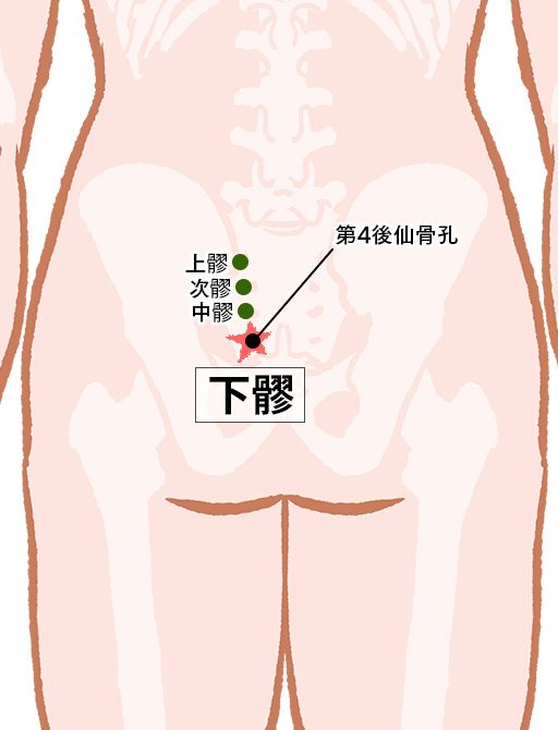 下髎（げりょう）：膀胱経のツボ