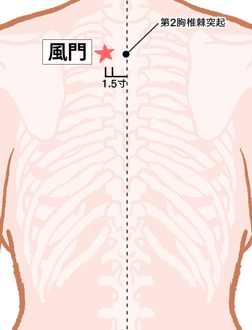 風門（ふうもん）：膀胱経のツボ