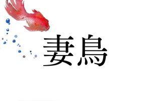 「つまどり」以外の読み方分かりますか？戦国武将でも知られる名字「妻鳥」のルーツ