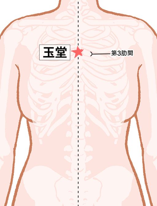 玉堂（ぎょくどう）：任脈のツボ
