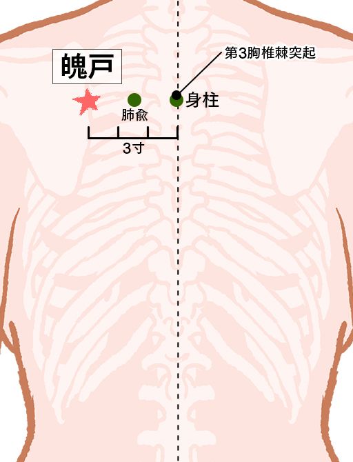 魄戸（はっこ）：膀胱経のツボ