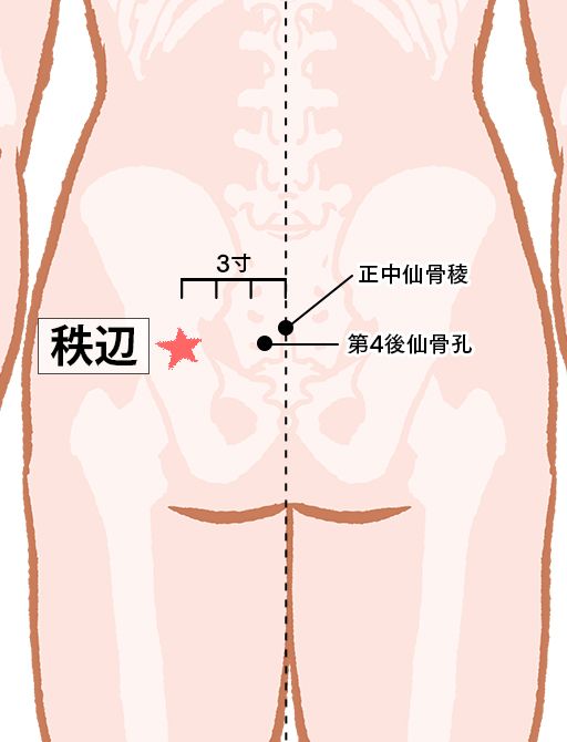 秩辺（ちっぺん）：膀胱経のツボ