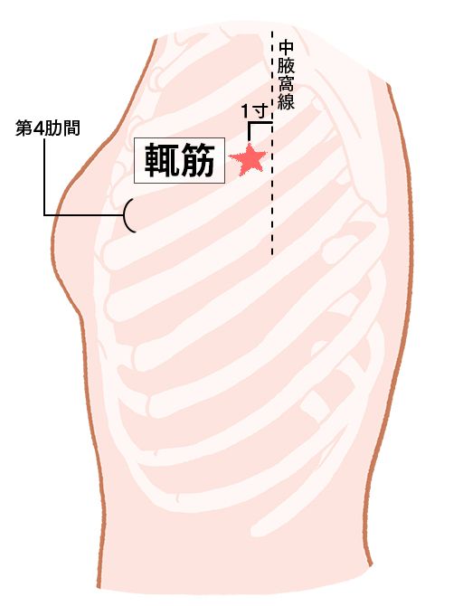 輒筋（ちょうきん）：胆経のツボ
