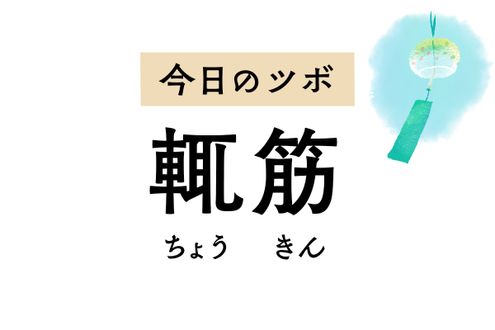 ストレスによる胸焼けや吐き気を軽減する「輒筋」。喘息や脇の痛みも緩和