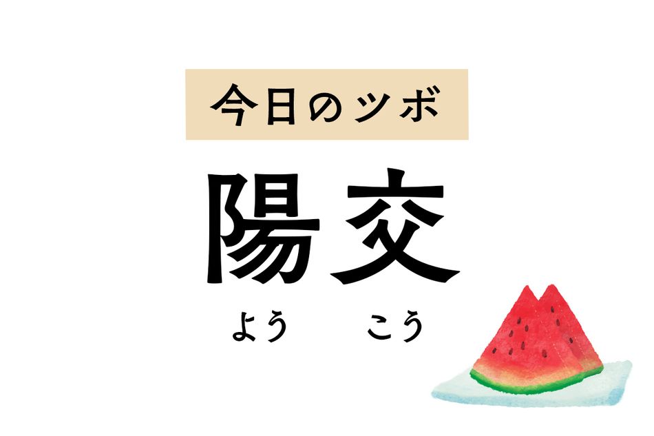 すねの「陽交」を押すと精神が安定して動悸が改善。足の痛みや麻痺も和らぎます