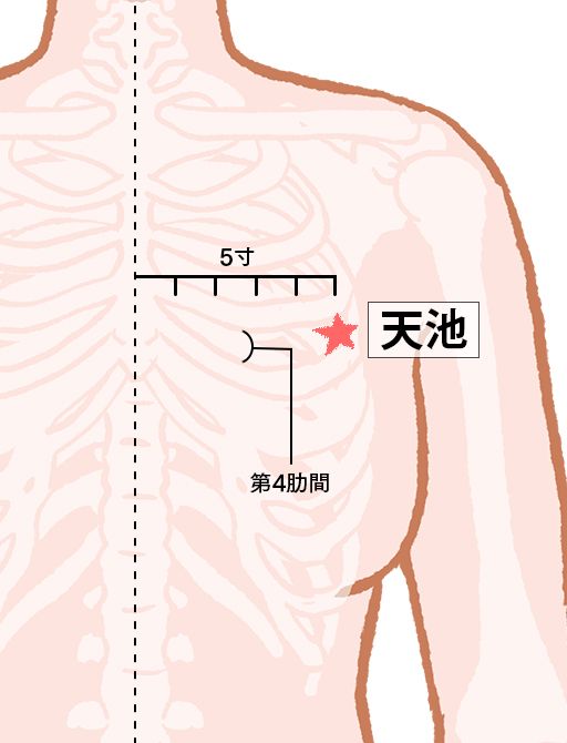 天池（てんち）：心包経のツボ