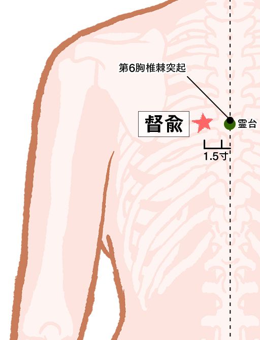 督兪（とくゆ）：膀胱経のツボ