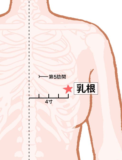乳根（にゅうこん）：胃経のツボ