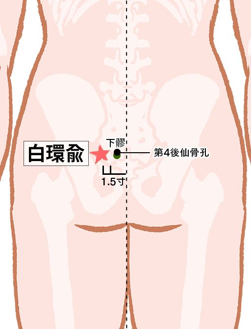 白環兪（はっかんゆ）：膀胱経のツボ