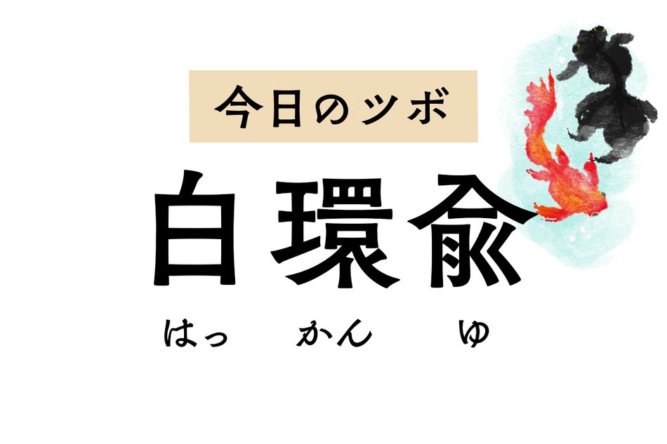 生殖器系のトラブルに作用する「白環兪」。月経不順やPMS、おりものの異常を改善