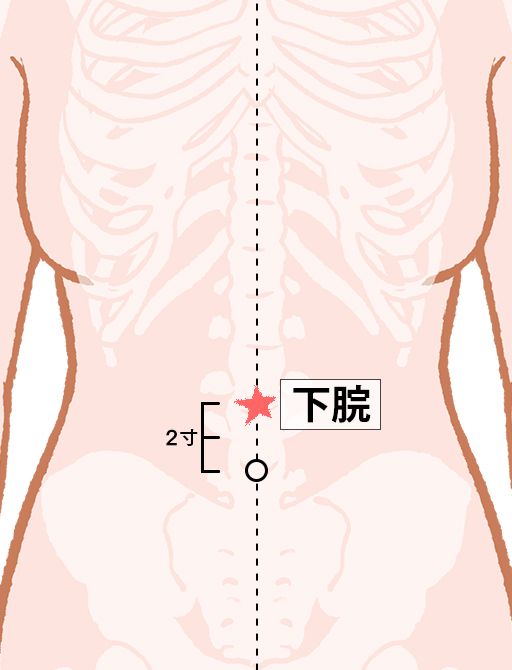 下脘（げかん）：任脈のツボ