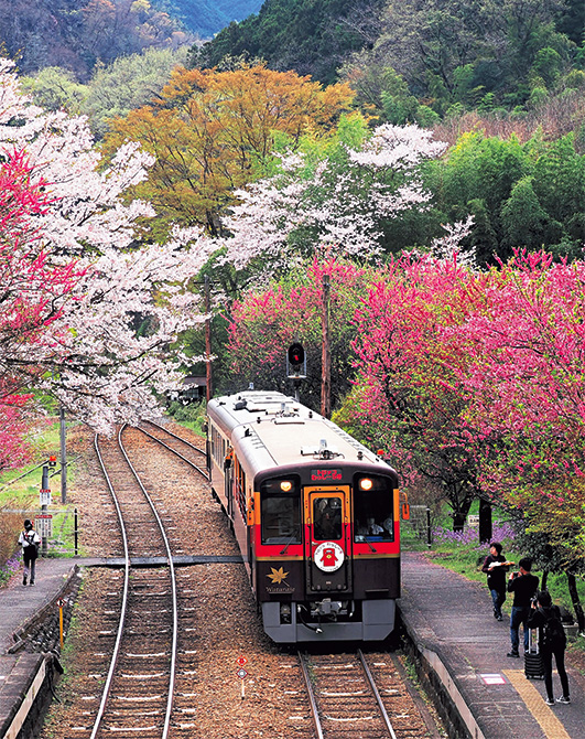 鉄道写真家・櫻井 寛さんが選ぶ ベスト・オブ・鉄道絶景4選 | 家庭画報