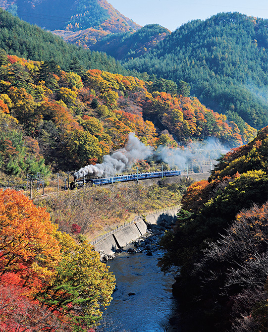 鉄道写真家・櫻井 寛さんが選ぶ ベスト・オブ・鉄道絶景4選 | 家庭画報