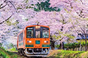 歌手・石川さゆりさんを魅了した、4つの“感動列車”