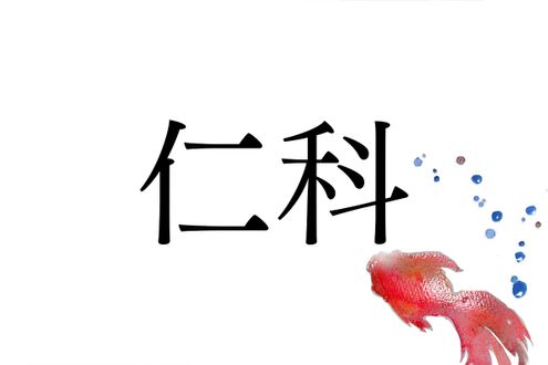 有力武士で知られる名字「仁科」。ルーツは長野県にあります