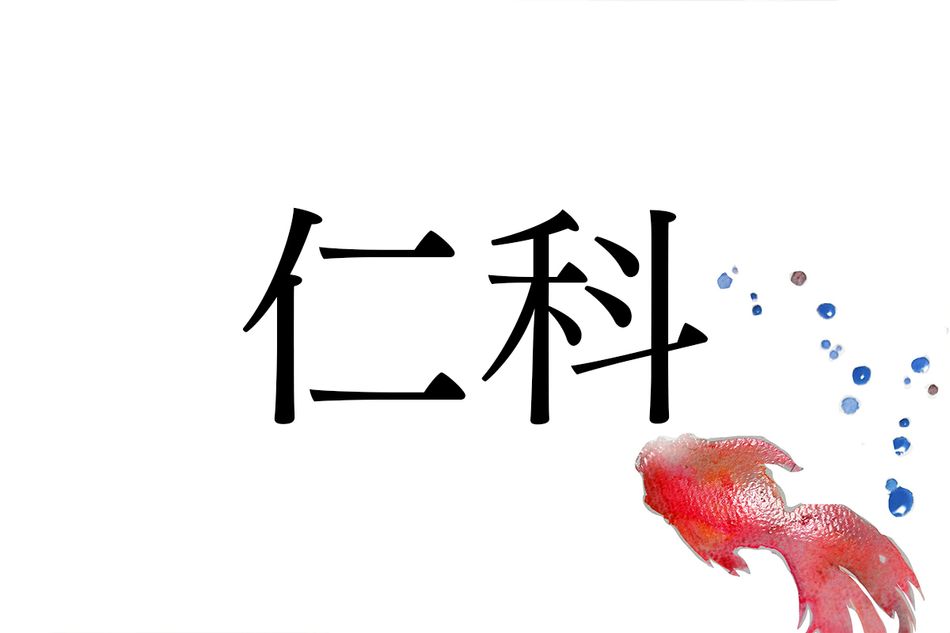 有力武士で知られる名字「仁科」。ルーツは長野県にあります