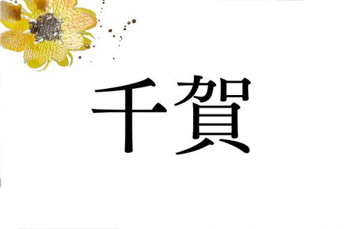 「千賀」という名字のルーツは？じつは徳川家康も関係しています