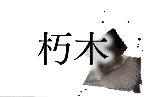 有力氏族にルーツをもつ名字「朽木」。信長や秀吉にも仕えました
