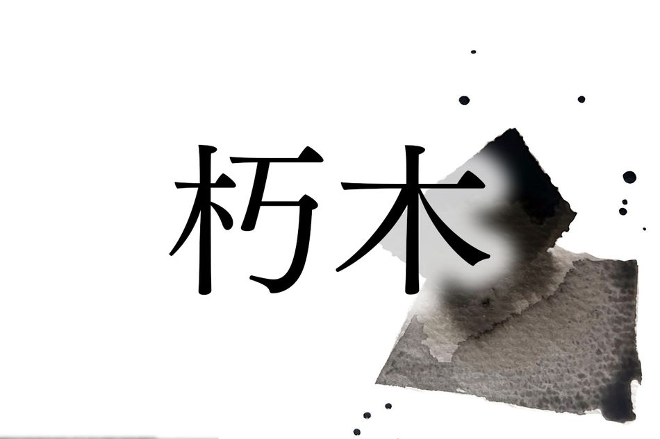 有力氏族にルーツをもつ名字「朽木」。信長や秀吉にも仕えました