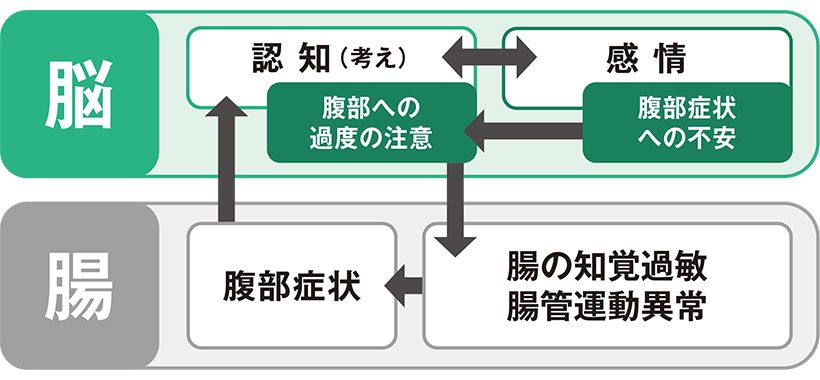 過敏性腸症候群を例にした脳腸相関のイメージ