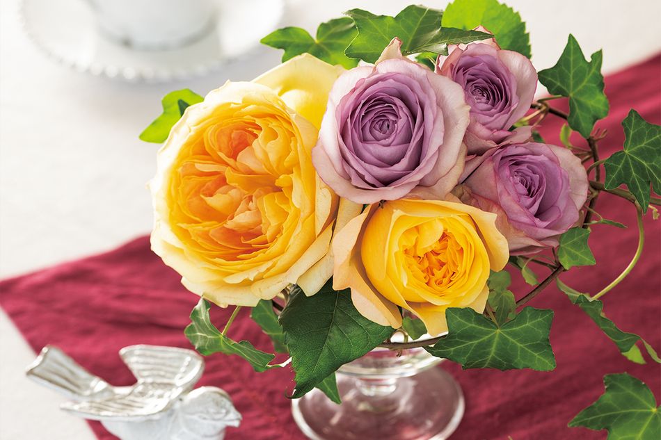 2026年10月は鮮やかな色の花を南に飾って行動力を高める【門屋雅佑美の花・開運】