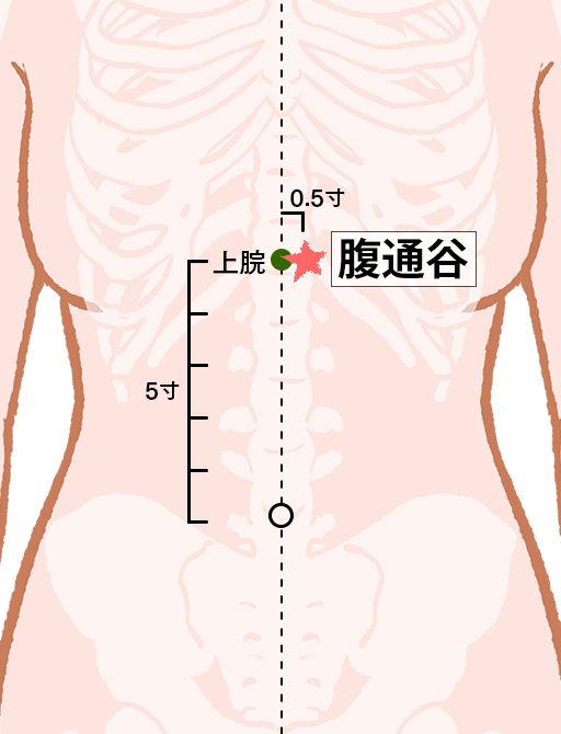 腹通谷（はらつうこく）：腎経のツボ