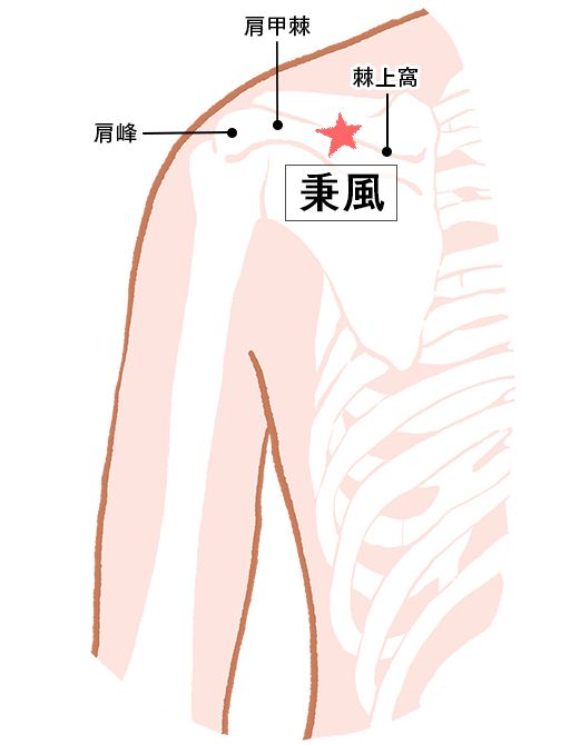 秉風（へいふう）：小腸経のツボ