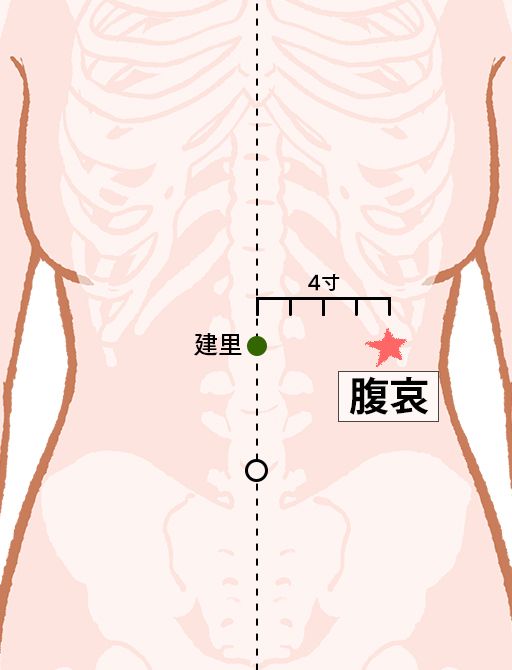 腹哀（ふくあい）：脾経のツボ