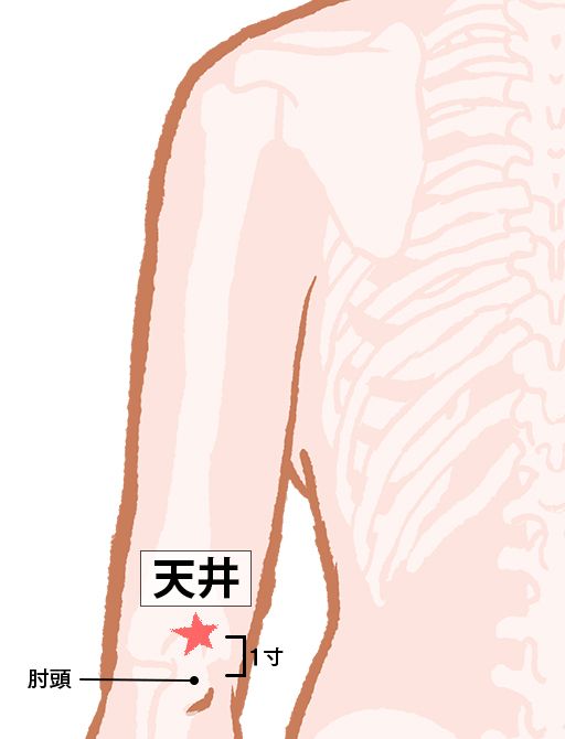 天井（てんせい）：三焦経のツボ