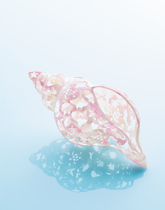 連載「季節を切り抜く」7月は「貝殻」 | 家庭画報.com 夢と美を楽しむ