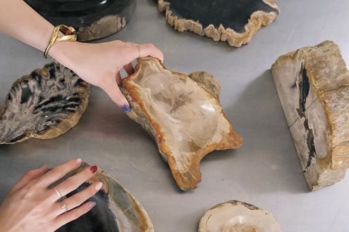 日本初の珪化木インテリア専門店「OAK Petrified Wood」　太古の樹木が鉱石へと姿を変えた、唯一無二のインテリア