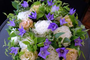 7月の贈り花　万葉の時代から愛されるキキョウ　涼やかな青紫のブーケ&アレンジメント10選