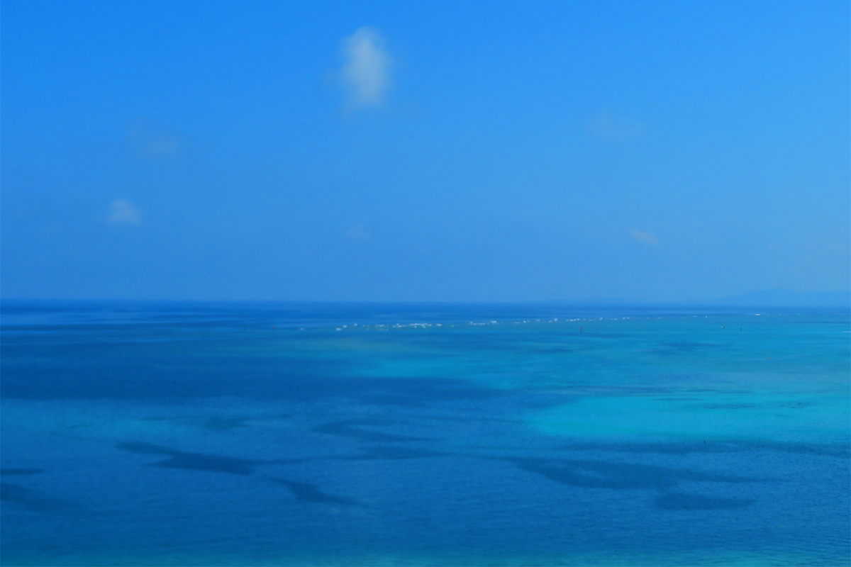 青空と青い海。同じ青色でも違って見えるのはなぜ | 家庭画報.com