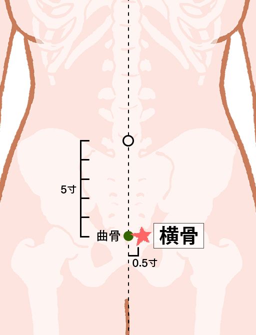 横骨（おうこつ）：腎経のツボ