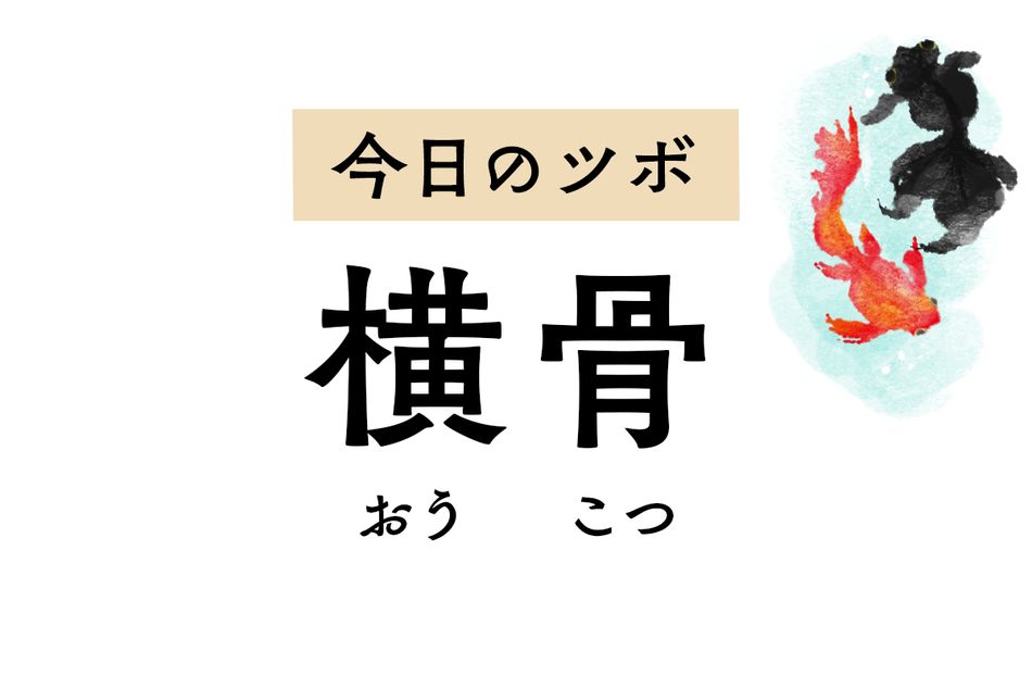 「横骨」は泌尿器と生殖器の不調に作用するツボ。月経不順や尿漏れを改善します