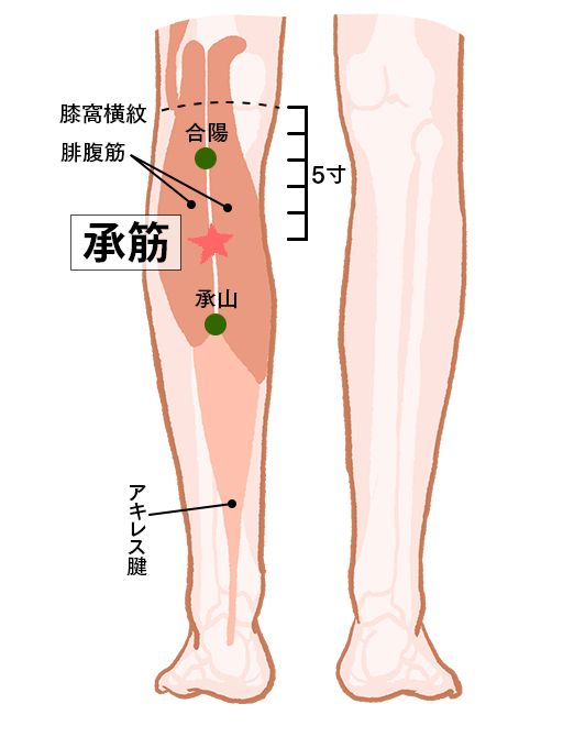 承筋（しょうきん）：膀胱経のツボ