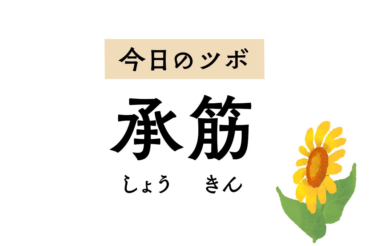 「承筋」は痔の特効穴。こむら返りや腰痛、坐骨神経痛や便秘も緩和します
