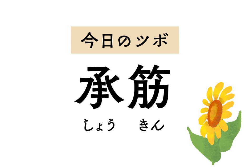 「承筋」は痔の特効穴。こむら返りや腰痛、坐骨神経痛や便秘も緩和します