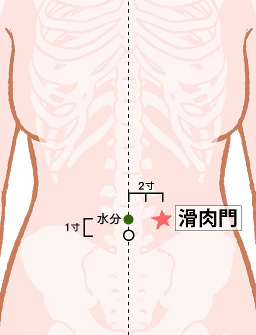 滑肉門（かつにくもん）：胃経のツボ