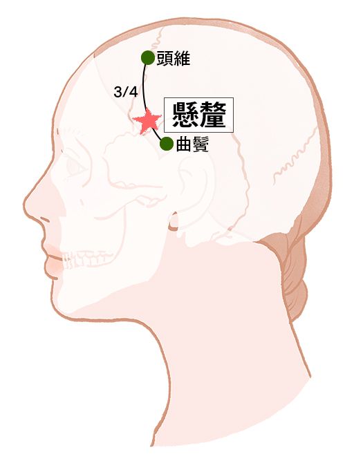 懸釐（けんり）：胆経のツボ