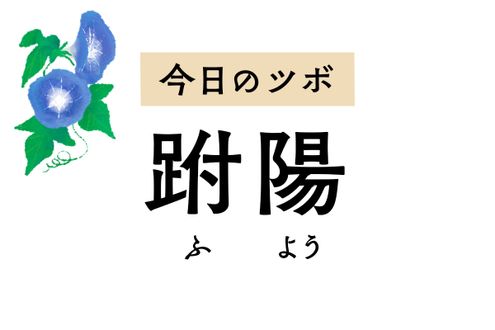 頭の重だるさや頭痛、肩の痛みや寝違えに効く「跗陽」。下肢の麻痺にも用います