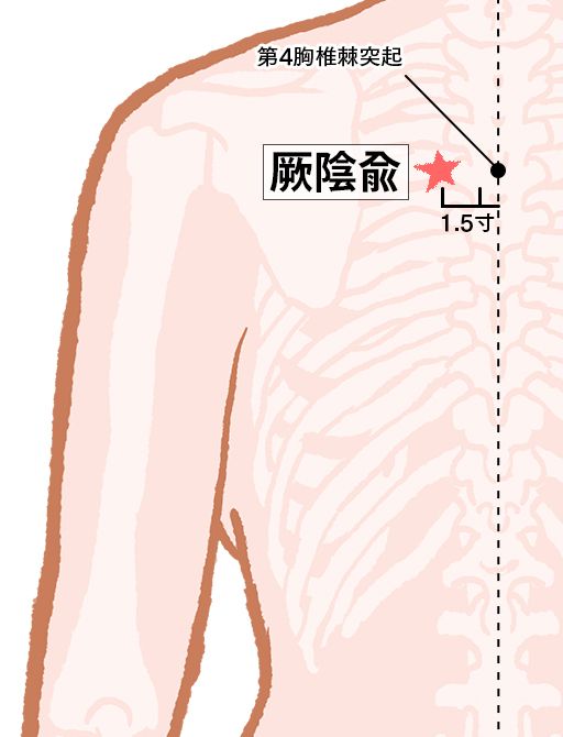 厥陰兪（けついんゆ）：膀胱経のツボ