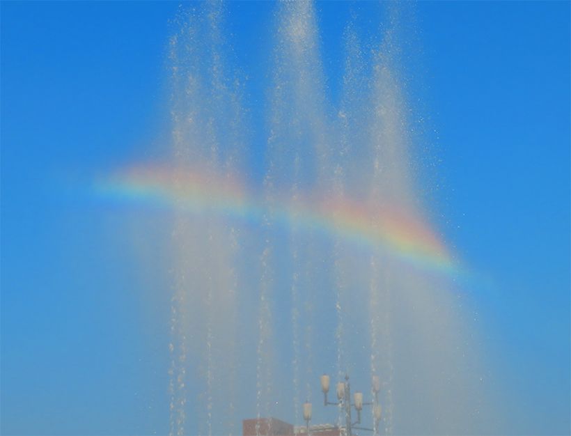 写真／荒木健太郎