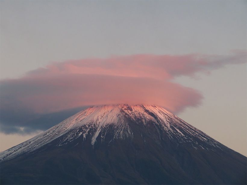 写真／池宮城サキ