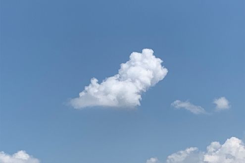 真夏の車内温度は急上昇する。家族の安全を守るために必ず確認したいこと