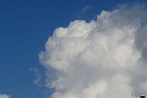 猛暑をもたらす二つの高気圧。日本の上空で起こっていることとは