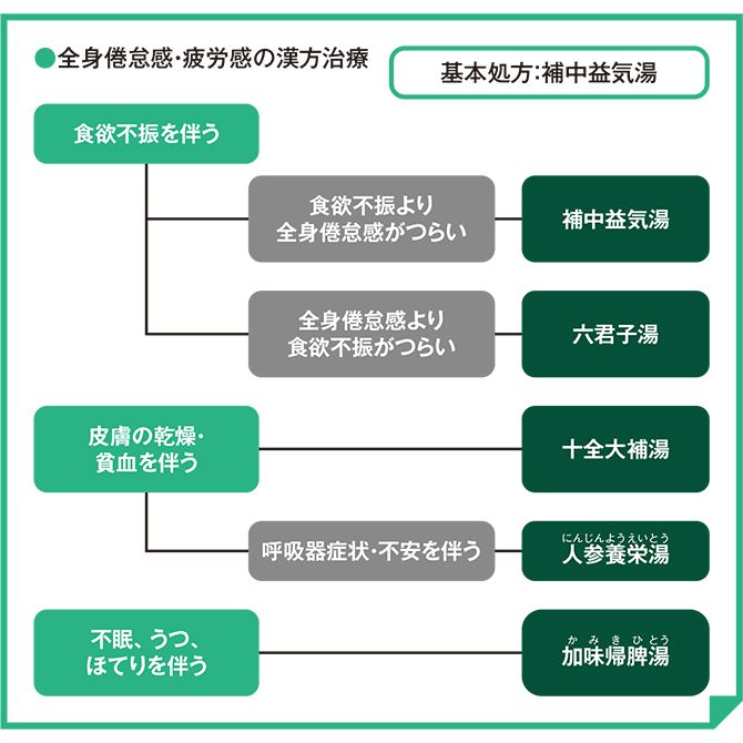 『がんサポーティブケアのための漢方活用ガイド』日本がんサポーティブケア学会監修・同漢方部会編（南山堂刊）を参考に作成