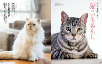 人生を豊かにする 猫のいる暮らし