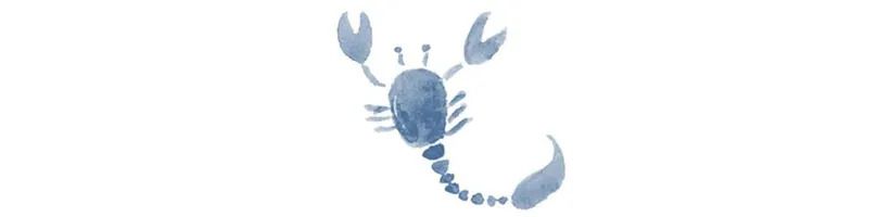 蠍座(10/24〜11/22)