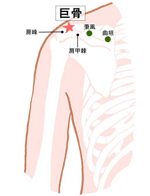巨骨（ここつ）：大腸経のツボ